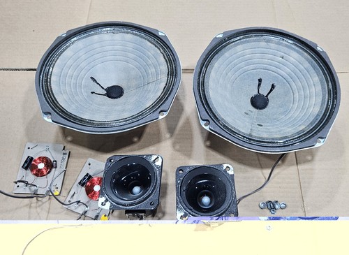 Lot zenith woofer - lot,